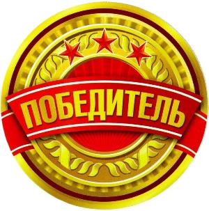 Новосибирское библиотечное общество вошло в число победителей конкурса на предоставление грантов Президента Российской Федерации 