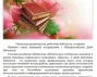 Уважаемые коллеги, поздравляем вас с Общероссийским днем библиотек! 