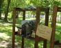  7 июня 2018 г. состоялась первая Библиотека на траве в этом сезоне