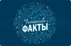 Читайте в новом номере БИНО