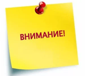 25-26 августа 2021 года в Новосибирске состоится XI Международная школа ассистивных услуг «Современная библиотека - ресурсная составляющая безбарьерного мира»